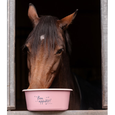 Comedero con tapa Waldhausen Linnea rosa