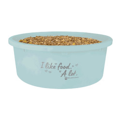 Comedero XL con tapa Waldhausen Turquesa Azul