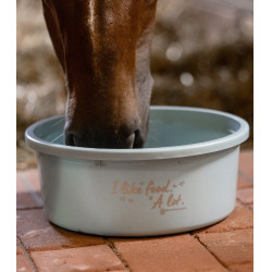 Comedero XL con tapa Waldhausen Turquesa Azul