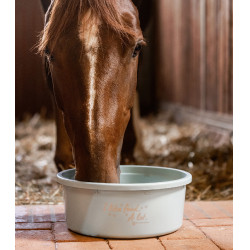 Comedero XL con tapa Waldhausen Turquesa Azul