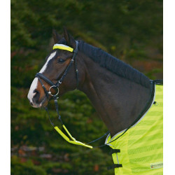 Conjunto reflectante Waldhausen para cabezadas Reflex