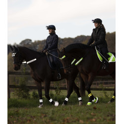 Conjunto reflectante Waldhausen para cabezadas Reflex Neón amarillo Conjunto reflectante Waldhausen para cabezadas Reflex Neón amarillo