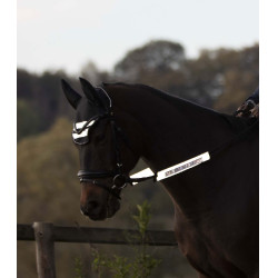 Conjunto reflectante Waldhausen para cabezadas Reflex Grís plata