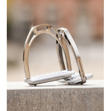 Estribos Waldhausen de aluminio Gris