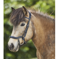 Filete anatómico islandés Waldhausen Negro / plata