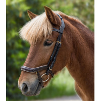 Filete anatómico islandés Waldhausen Negro / plata