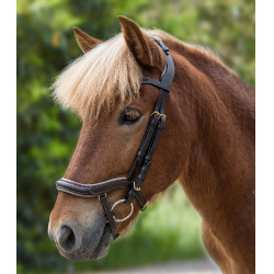 Filete anatómico islandés Waldhausen Marrón / dorado Marr&amp;amp;amp;oacute;n