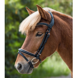 Filete Waldhausen Island Rose Negro / oro rosado