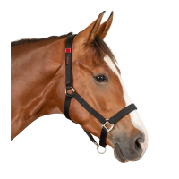 Cabezada de seguridad Waldhausen Negro