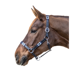 Cabezada de cuero Waldhausen Polo Negro