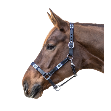 Cabezada de cuero Waldhausen Polo Negro