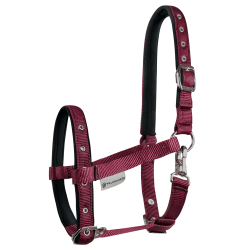 Cabezada Potro Waldhausen Confort Burdeos