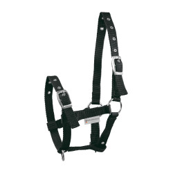 Cabezada Potro Waldhausen Triple Negro