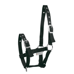 Cabezada Potro Waldhausen Triple