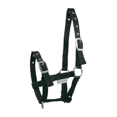 Cabezada Potro Waldhausen Triple Negro