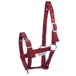 Cabezada Potro Waldhausen Triple Burdeos