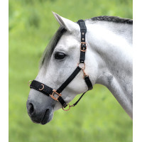 Licol pour longé Waldhausen Rosé Negro