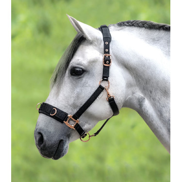 Licol pour longé Waldhausen Rosé Negro