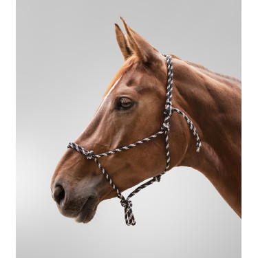 Cabezada de cuerdas con nudos Waldhausen Negro / blanco