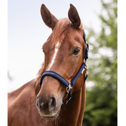 Cabezada Waldhausen Athletic Azul nocturno