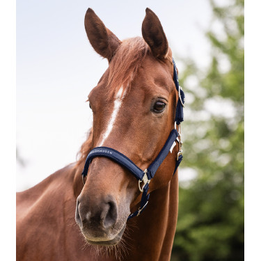 Cabezada Waldhausen Athletic Azul nocturno