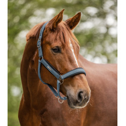 Cabezada Waldhausen Breath Azul craie