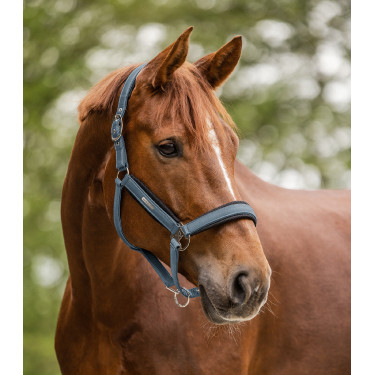 Cabezada Waldhausen Breath Azul craie