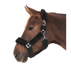 Cabezada Waldhausen Cozy Negro / plata