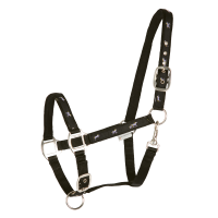 Cabezada Waldhausen déco Caballitos Negro