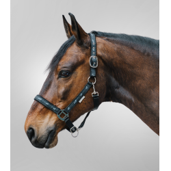 Cabezada Waldhausen déco Caballitos Negro