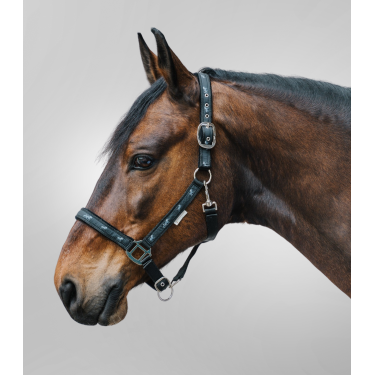 Cabezada Waldhausen déco Caballitos Negro