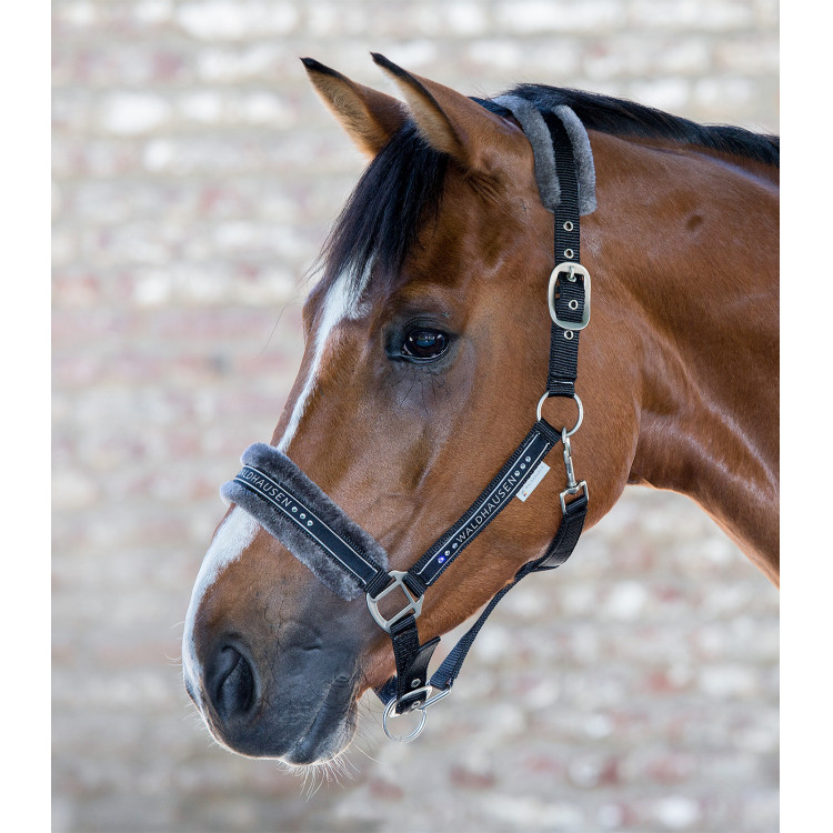 Cabezada Waldhausen Elegant Cabezada Waldhausen Elegant