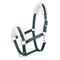 Cabezada Waldhausen Elegant Negro Cabezada Waldhausen Elegant Negro