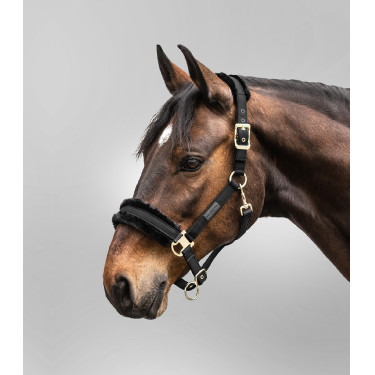 Cabezada Waldhausen Exclusive Negro / negro