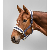 Cabezada Waldhausen Exclusive Azul nocturno / beige