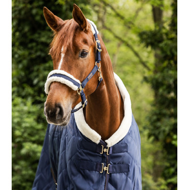 Cabezada Waldhausen Exclusive Azul nocturno / beige