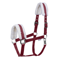 Cabezada Waldhausen First Negro