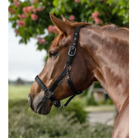 Cabezada Waldhausen Gloomy Negro Cabezada Waldhausen Gloomy Negro