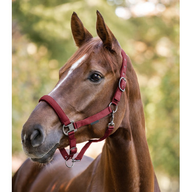 Cabezada Waldhausen Gloomy Burdeos