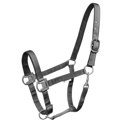 Cabezada Waldhausen Gloomy Gris granito