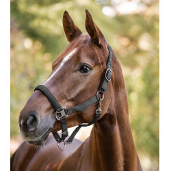 Cabezada Waldhausen Gloomy Gris granito