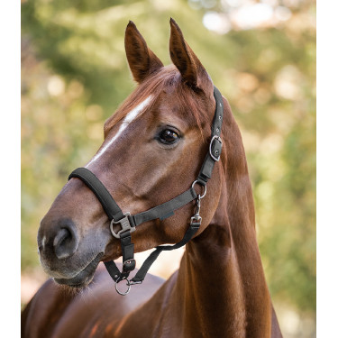 Cabezada Waldhausen Gloomy Gris granito