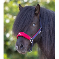 Cabezada Waldhausen Island Hellnar Azúl oscuro / rojo