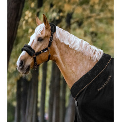 Cabezada Waldhausen Modern Rosado Negro / antracita