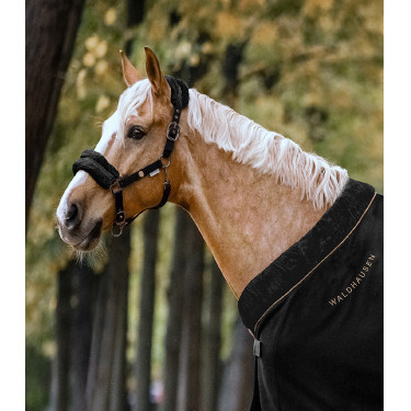 Cabezada Waldhausen Modern Rosado Cabezada Waldhausen Modern Rosado
