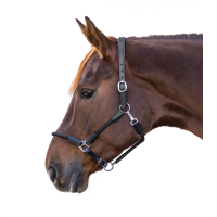 Cabezada Waldhausen Nevada Negro / plata