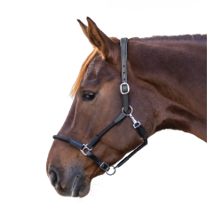 Cabezada Waldhausen Nevada Negro / plata