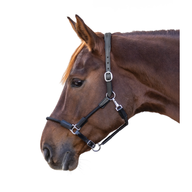 Cabezada Waldhausen Nevada Negro / plata