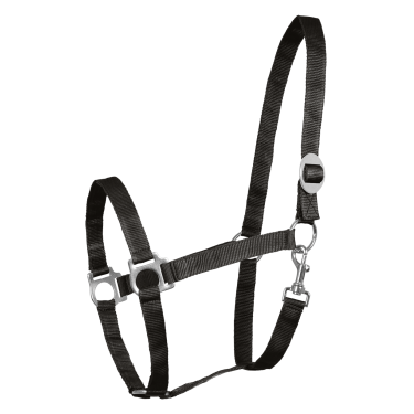 Cabezada Waldhausen Perlon