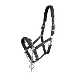 Cabezada Waldhausen Pro Safety Negro